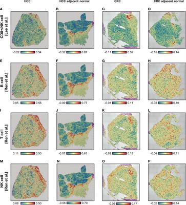 Case report: Understanding the impact of persistent tissue-localization of SARS-CoV-2 on immune response activity via spatial transcriptomic analysis of two cancer patients with COVID-19 co-morbidity